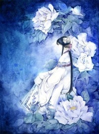 青儿的武侠世界